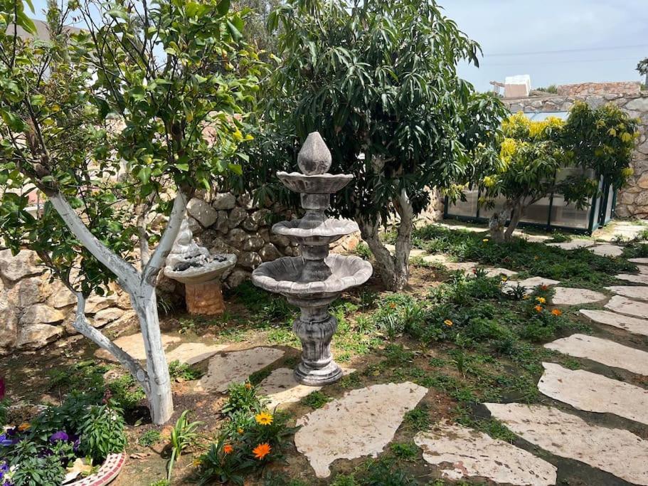 אחוזת היניבים Yaniv Estate Villa Nurit Luaran gambar