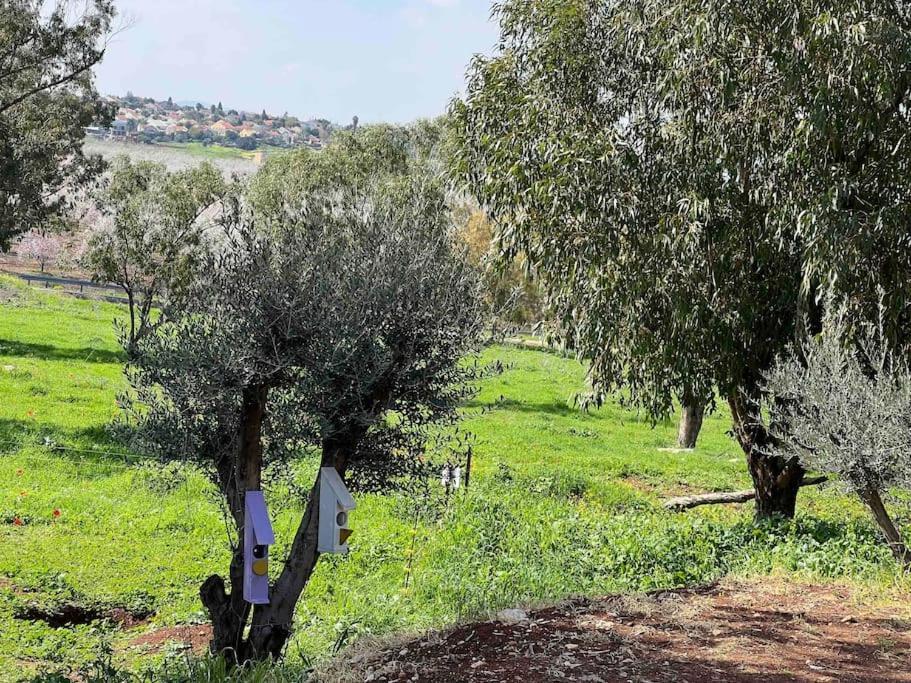 אחוזת היניבים Yaniv Estate Villa Nurit Luaran gambar